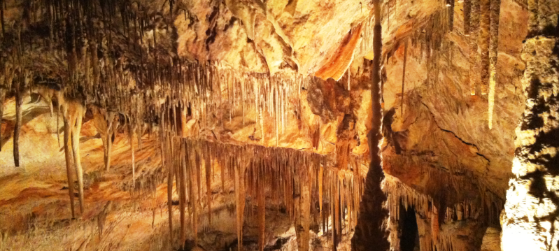 tours in mallorca to the caves