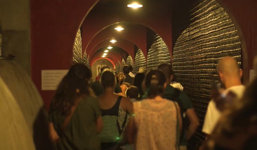 visit of the wine cellar